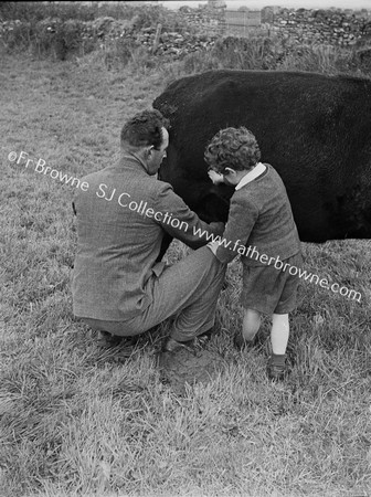 FATHER AND SON MILKING COW